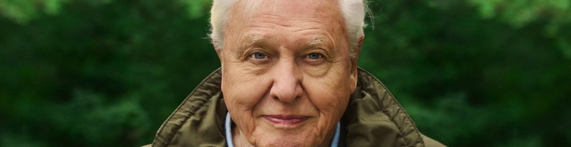 david-attenborough-a-life-on-our-planet